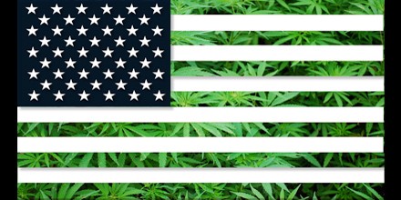 The Presidential Election & Marijuana Legalization