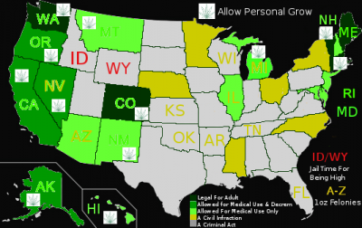 Medical Marijuana 2013 by the State on the USA Map